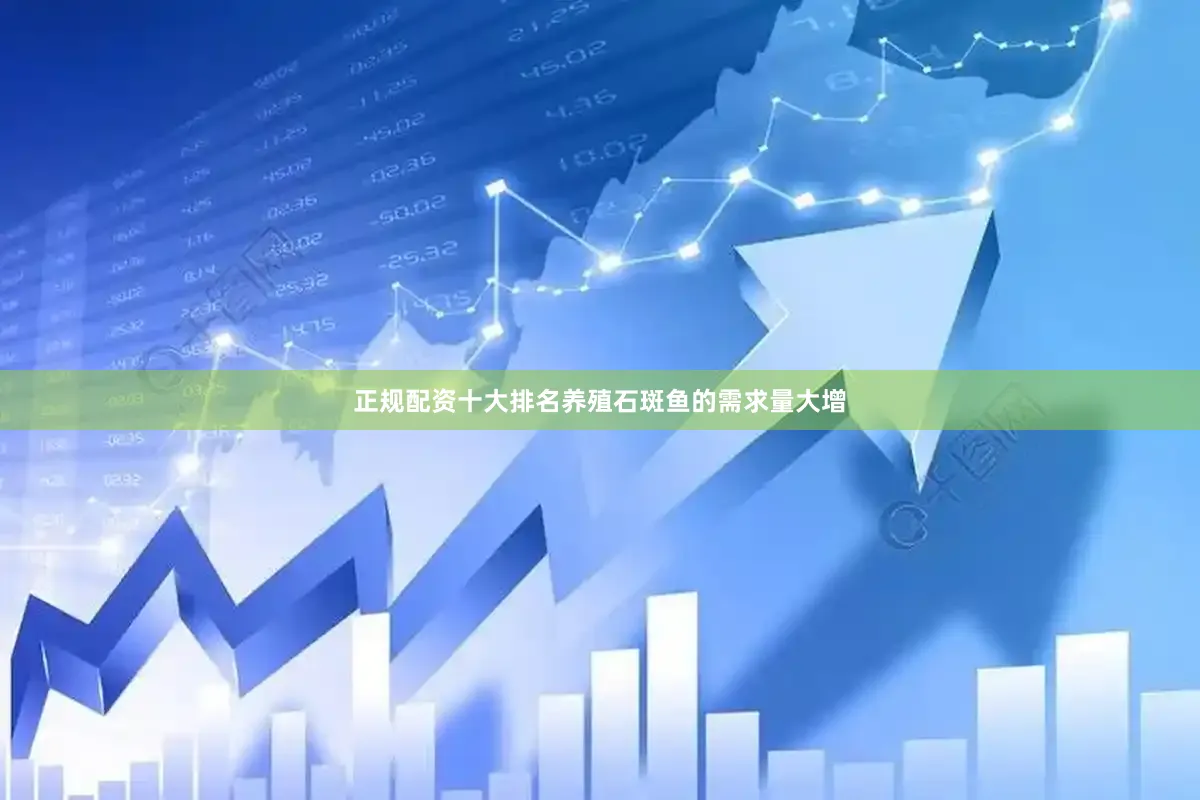 正规配资十大排名养殖石斑鱼的需求量大增