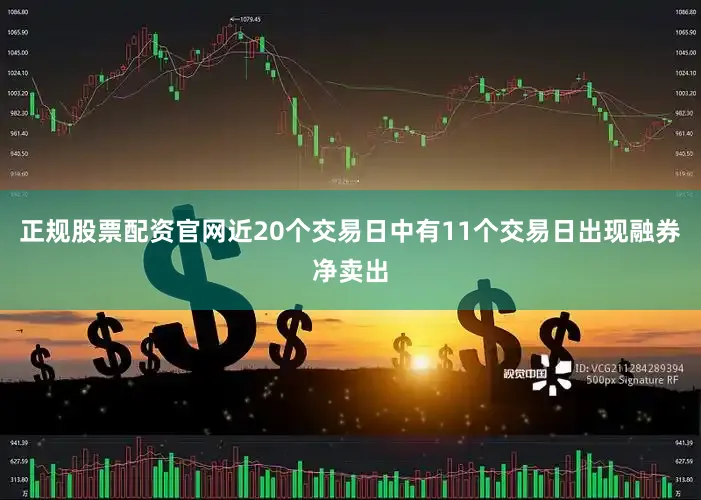 正规股票配资官网近20个交易日中有11个交易日出现融券净卖出