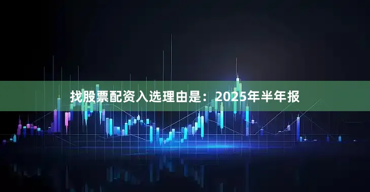 找股票配资入选理由是：2025年半年报