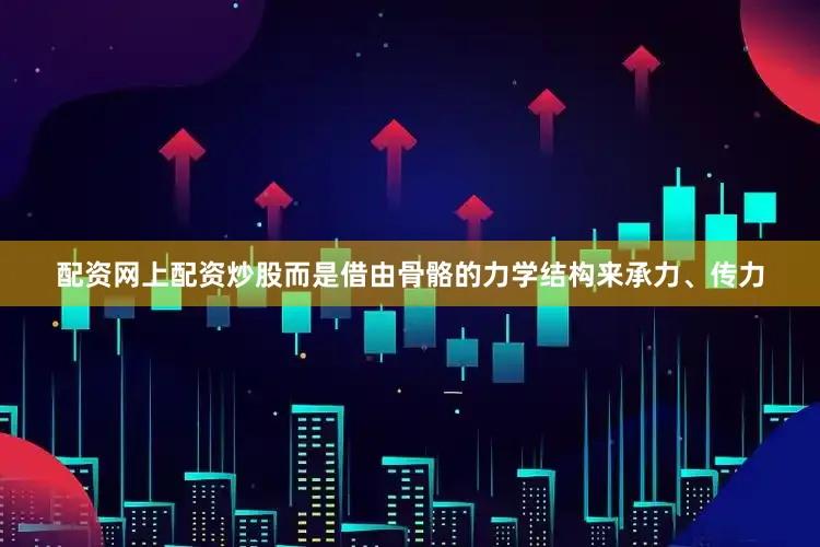配资网上配资炒股而是借由骨骼的力学结构来承力、传力
